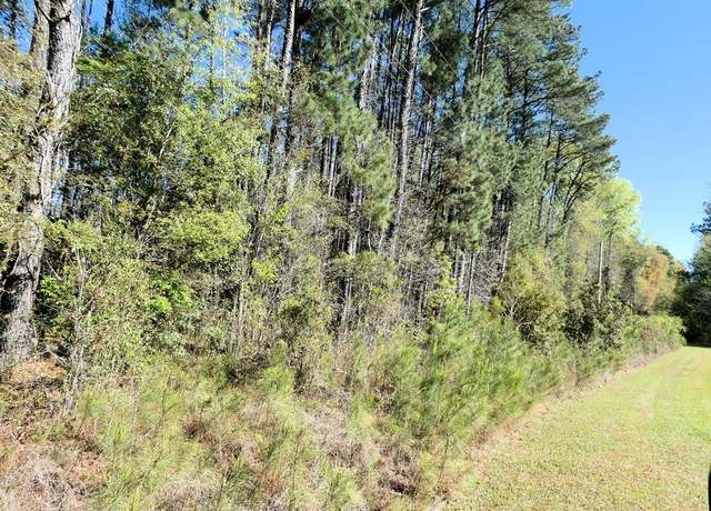 Property at 0 Ned's Lot 21, Santee, SC 29142