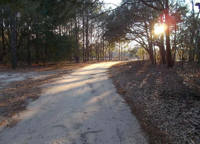 Property at 41 Bonaparte Trl, Elloree, SC 29047