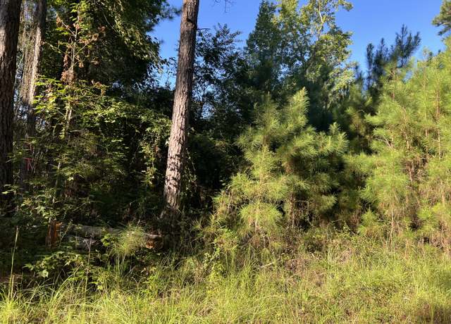 Property at 1060 Deer Trl Lot 56, Santee, SC 29142