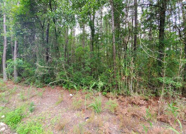 Property at 0 2nd Texas Rd, Saint George, SC 29477