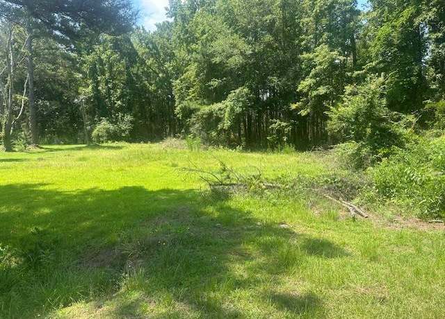Property at 176 Log Rd, Lynchburg, SC 29080