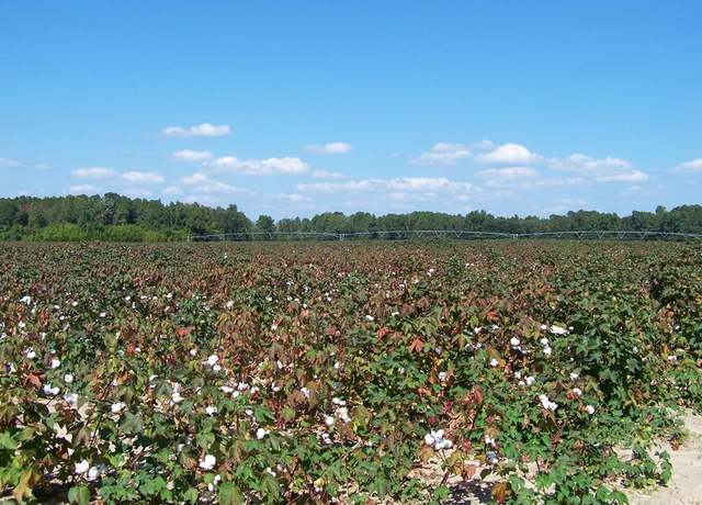 Property at 00 Tee Vee Road, Hwy. 267, Santee, SC 29142