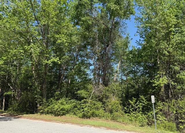 Property at 0 Haseldon Dr, Manning, SC 29102