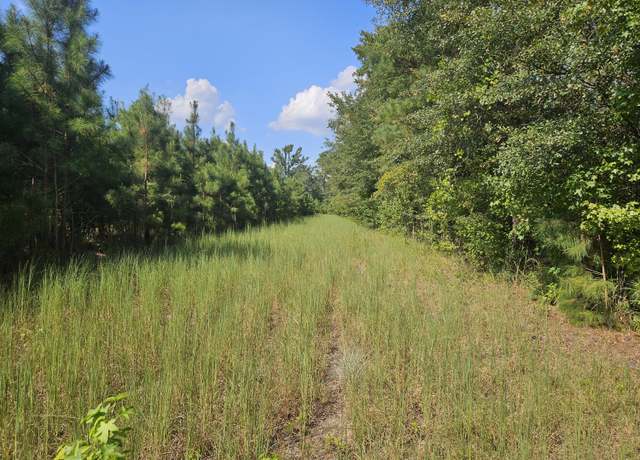 Property at 109ac Trifalia Rd, Scranton, SC 29591