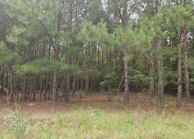 Property at 2910 Doc Naomi Rd, Manning, SC 29102