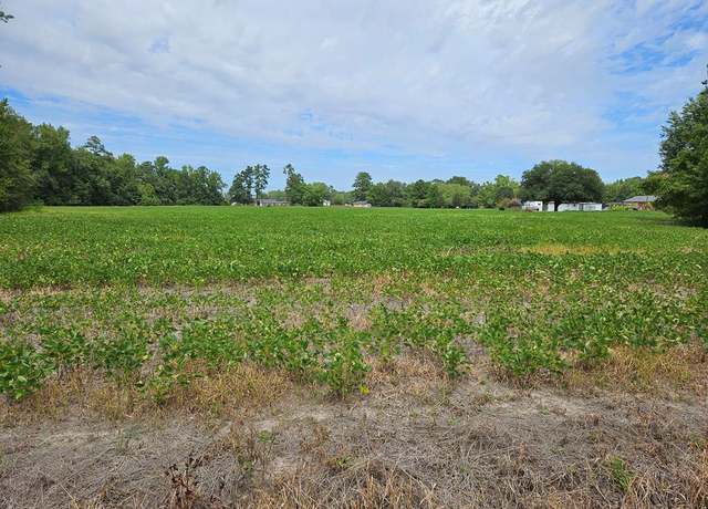 Property at TBD Alice Myers Ln, Olanta, SC 29114