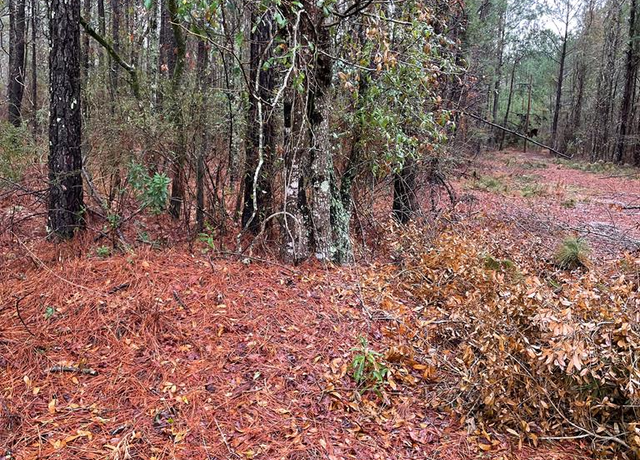 Property at 00 Archer Ave, Manning, SC 29102