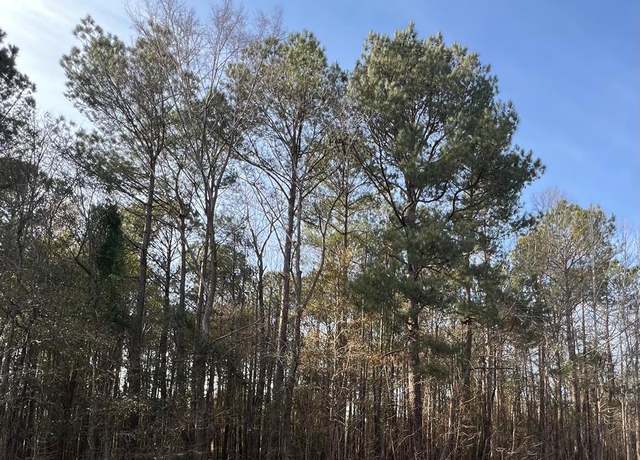 Property at TBD Hwy 260, Manning, SC 29102