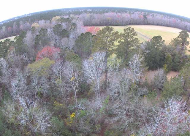 Property at 0 Tomahawk St, Hemingway, SC 29554