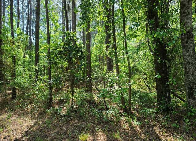 Property at 0 Fish Rd, Dalzell, SC 29040