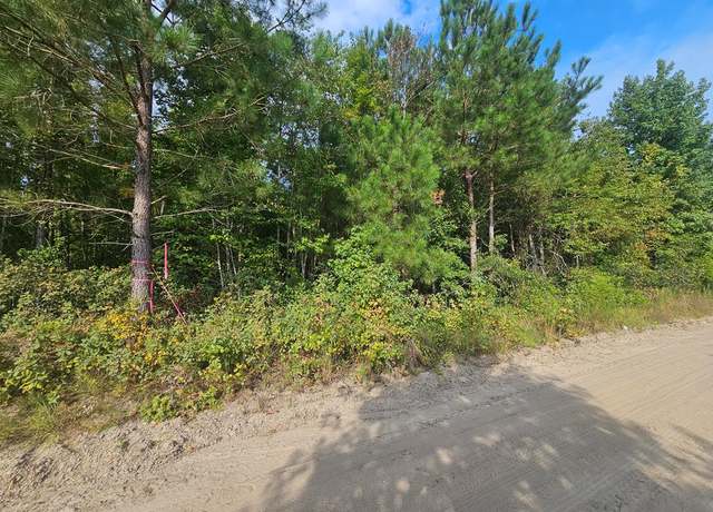 Property at TBD Roxborough, Elloree, SC 29047