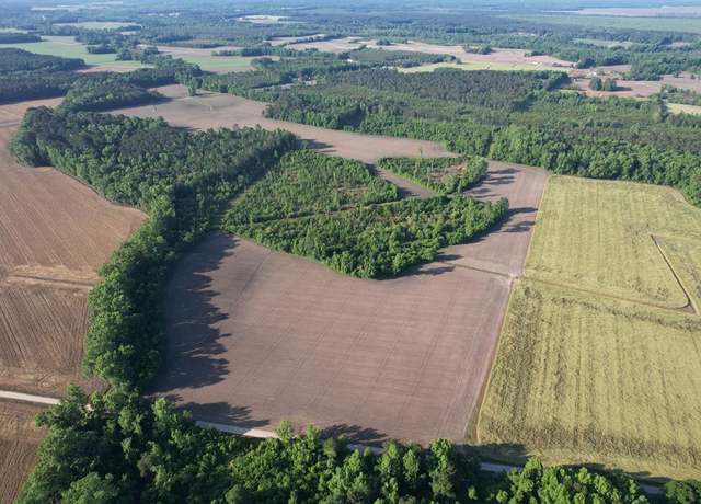 Property at 82.3 ac Tomlinson Rd, Olanta, SC 29114
