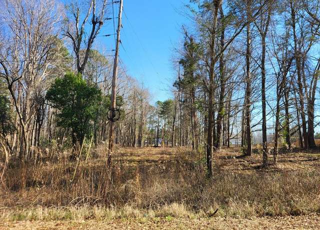 Property at Lot 1 Santee Lumber Rd, Santee, SC 29142