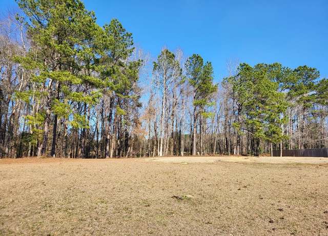 Property at Lot 2 Santee Lumber Rd, Santee, SC 29142