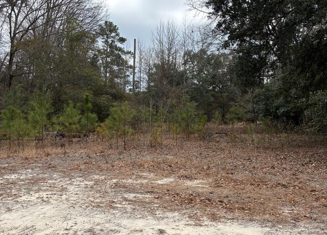Property at 116 Nandina Dr, Sumter, SC 29150