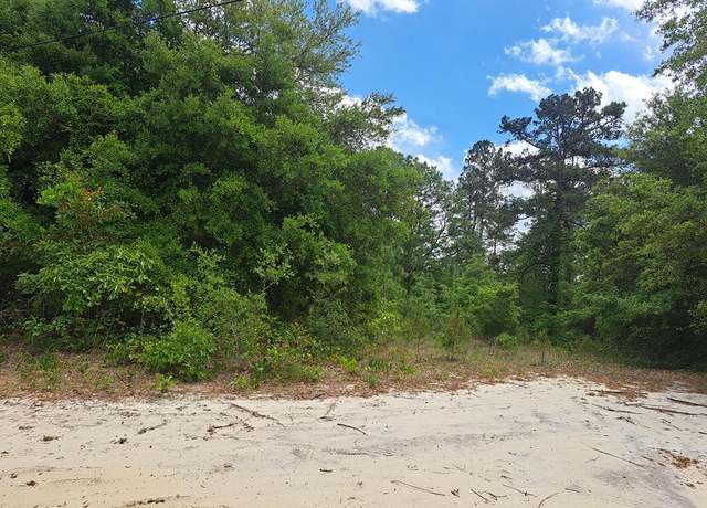 Property at 01 Santee Ln, Elloree, SC 29047