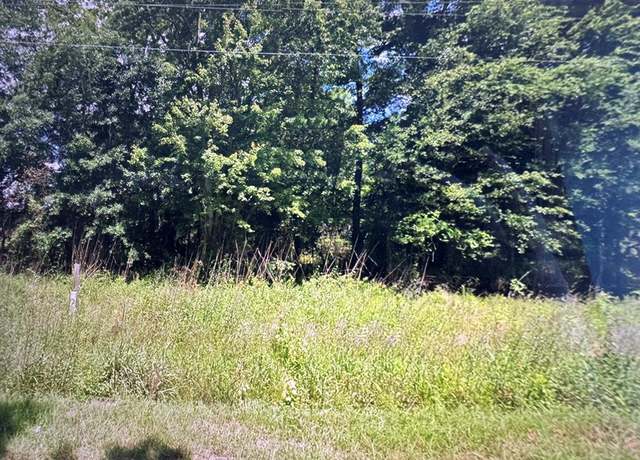 Property at TBD Joseph And Lemon Dingle Rd, Manning, SC 29102