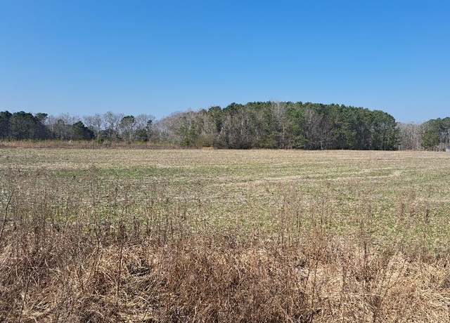 Property at 01 15 & Rexford Ct, Santee, SC 29142