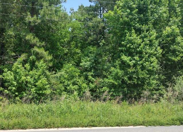Property at 00 lot1 Meagen Ln, Manning, SC 29102