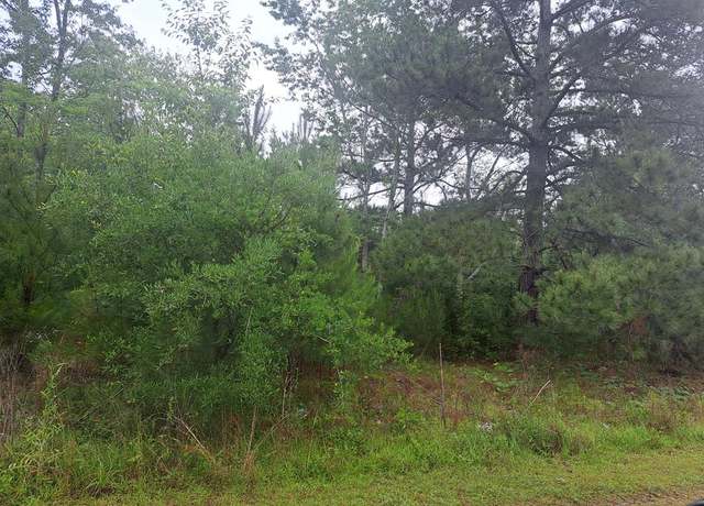 Property at 01 Big Phil's Ct, Santee, SC 29142
