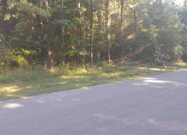 Property at 556 Pine, Holly Hill, SC 29059