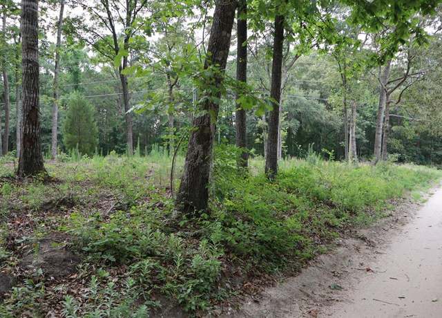 Property at 00 Hickory Spring Rd, Eutawville, SC 29048