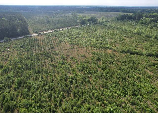 Property at 20Ac-TBD Highway 260, Manning, SC 29102