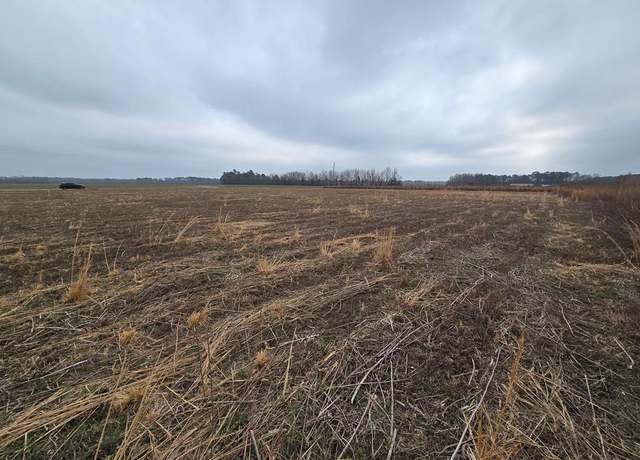 Property at 00 Manville Saint Charles Rd (lot 6b), Bishopville, SC 29010