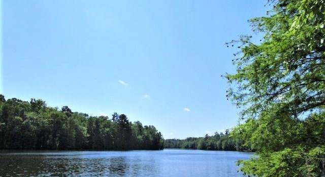 Photo of Lot 6 Poplar Creek Dr, Elloree, SC 29047