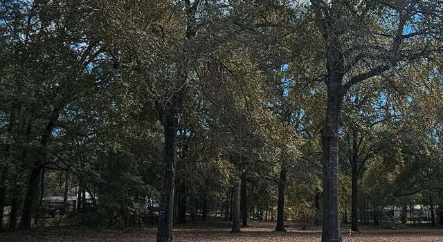 Photo of TBD Princess Pond, SC 29148