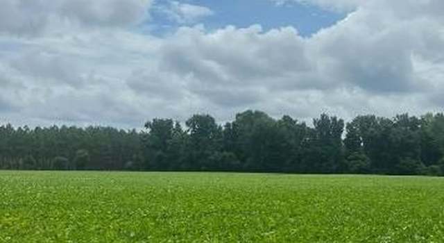 Photo of TBD Puddin Swamp Rd, Turbeville, SC 29162