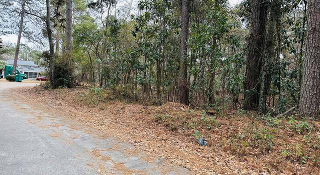 Photo of TBD Williamsburg Ave, Olanta, SC 29114
