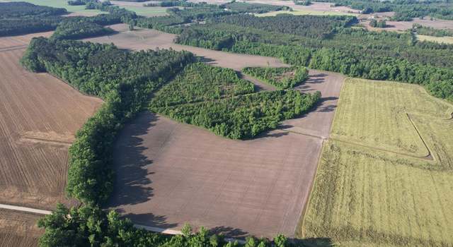 Photo of 82.3 ac Tomlinson Rd, Olanta, SC 29114