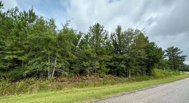 Photo of TBD American Ave, Turbeville, SC 29162