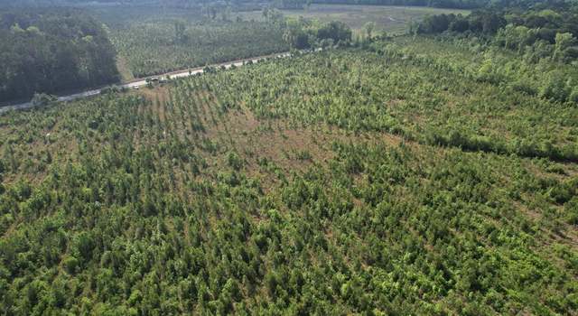 Photo of 20Ac-TBD Highway 260, Manning, SC 29102