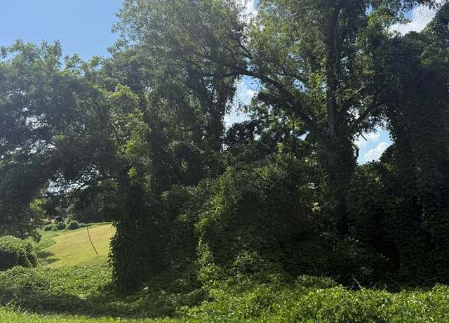 Property at 0 Branch St, Abbeville, SC 29620