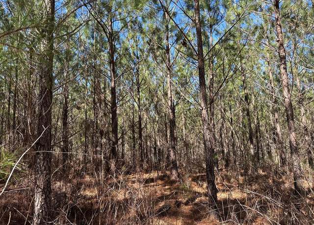 Property at 00 Chestnut Ridge Rd, Mccormick, SC 29835