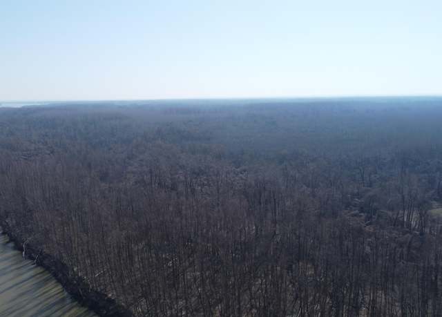 Property at 00 State Rt 79, Ridgely, TN 38080