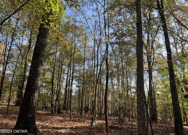 Property at 908 Excalibur Trail (lot 102) Trl, Cedar Grove, TN 38321