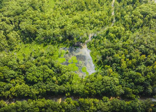 Property at 0 Eaton Brazil Rd, Trenton, TN 38382