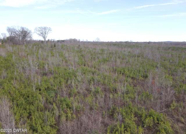 Property at Tract 1 S State Route 22a, Enville, TN 38332