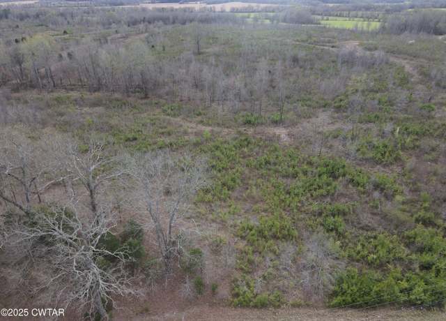 Property at Tract 4 S State Route 22a, Enville, TN 38332