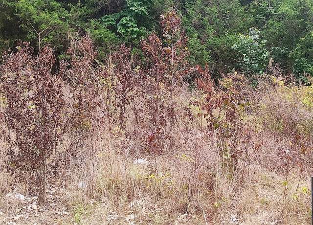 Property at 449 Saint John Rd, Denmark, TN 38391