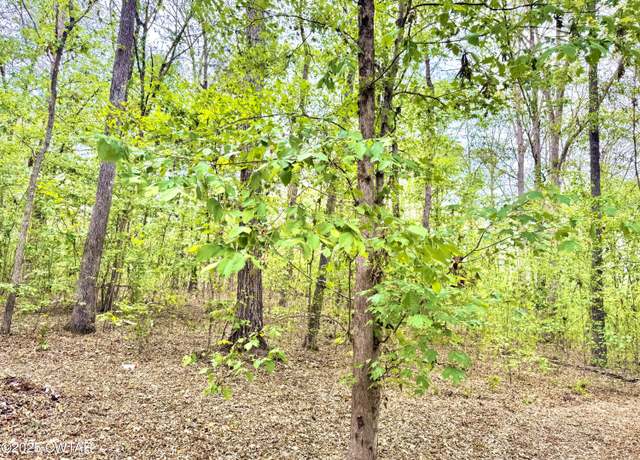 Property at 0 Peregrine Rise Dr, Big Sandy, TN 38221
