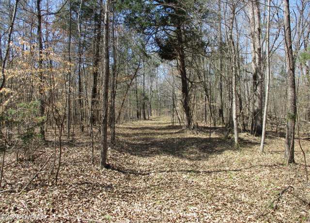 Property at 0 Wilkinstown Rd, Parsons, TN 38363