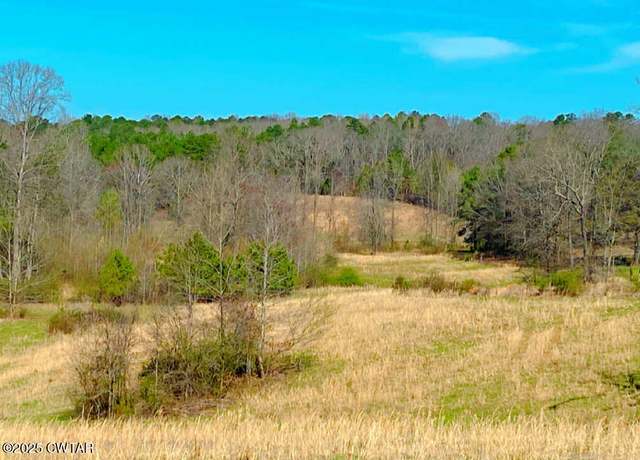 Property at 0 Presley Rd, Lexington, TN 38351