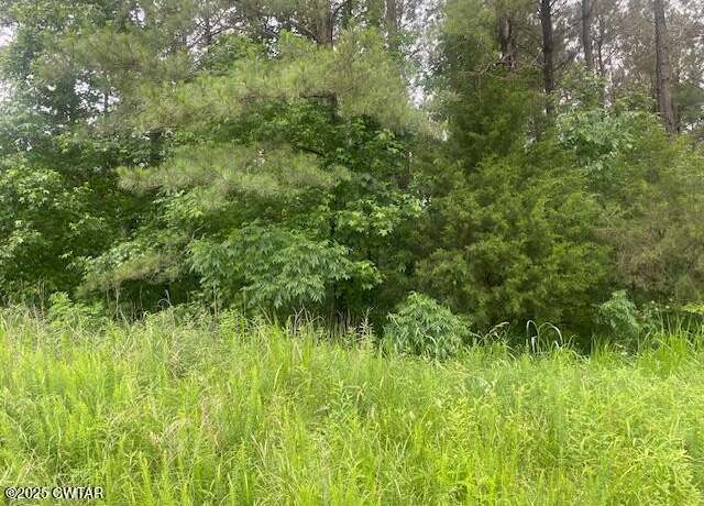 Property at 0 Bartlett Rd, Reagan, TN 38368