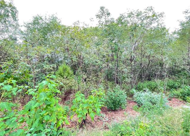 Property at 819 New Era Bluff Rd, Linden, TN 37096