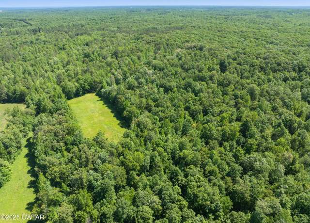 Property at 0 Hohammer Rd, Holladay, TN 38341