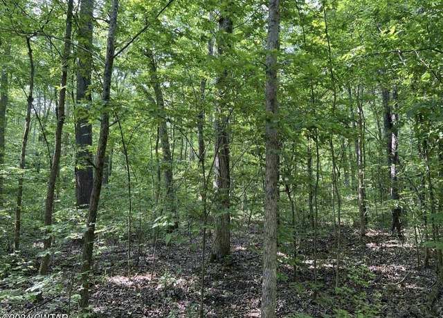 Property at 0 Point Mason Rd, Big Sandy, TN 38221